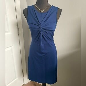 Express Bodycon Dress